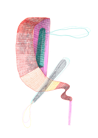 Sistemático II, 2017